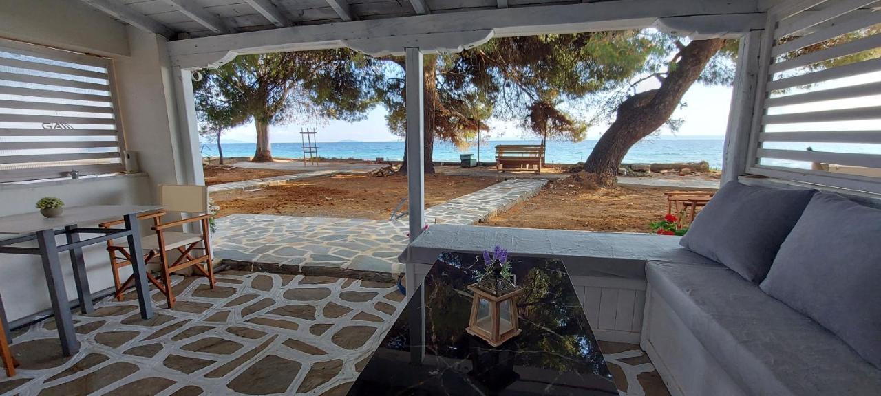 "Pine&Sea" Kastamoniti Beach Nikiti  Esterno foto