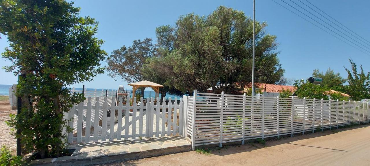"Pine&Sea" Kastamoniti Beach Nikiti  Esterno foto