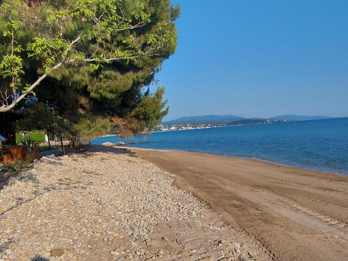 "Pine&Sea" Kastamoniti Beach Nikiti  Esterno foto