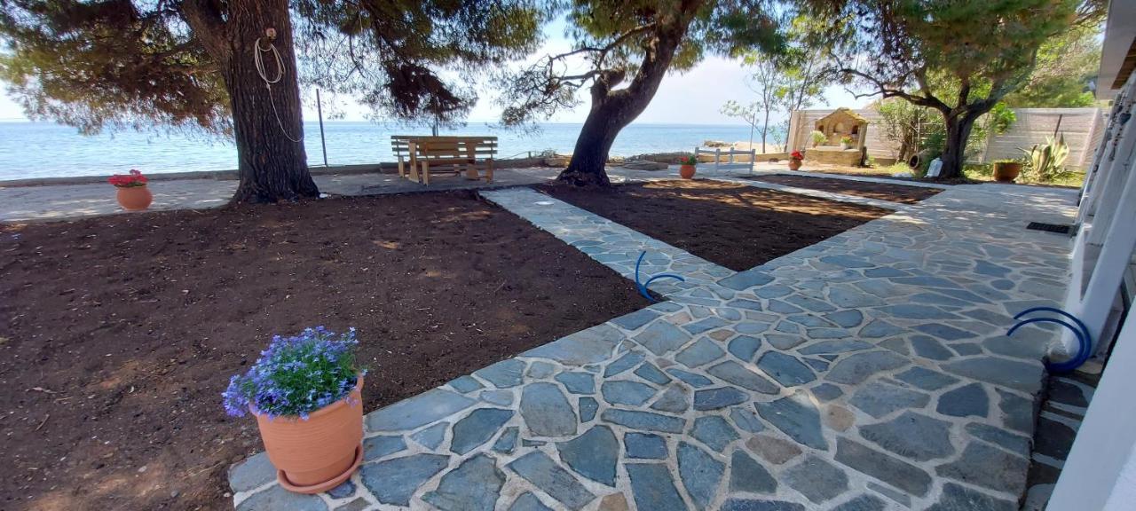 "Pine&Sea" Kastamoniti Beach Nikiti  Esterno foto