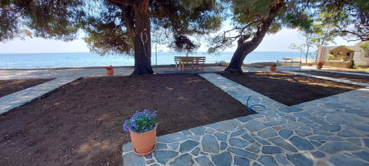 "Pine&Sea" Kastamoniti Beach Nikiti  Esterno foto