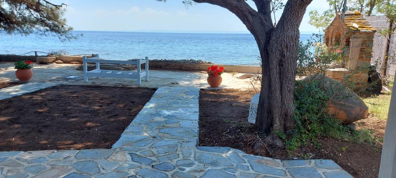 "Pine&Sea" Kastamoniti Beach Nikiti  Esterno foto