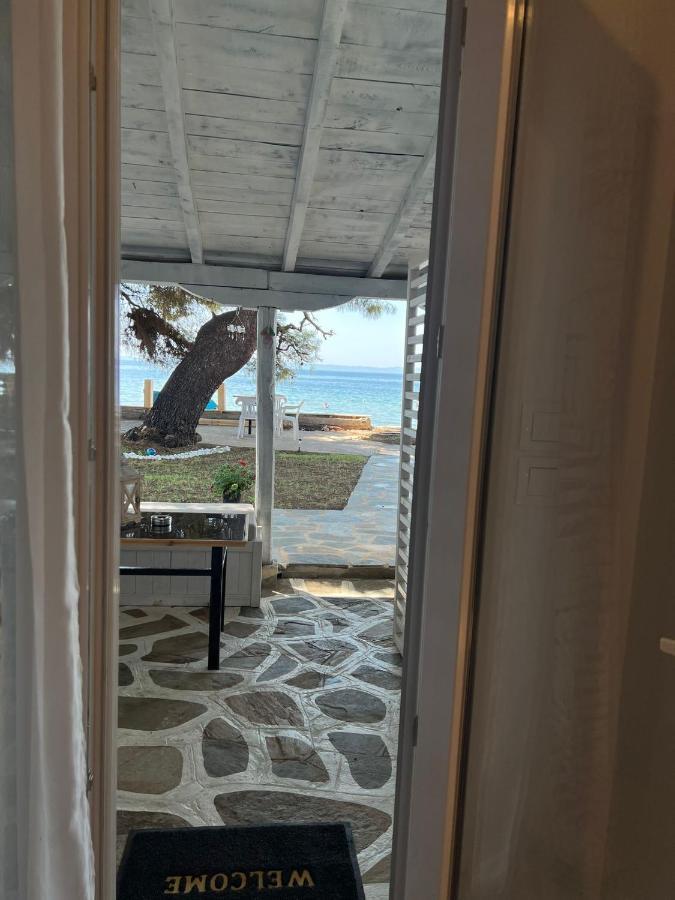 "Pine&Sea" Kastamoniti Beach Nikiti  Esterno foto